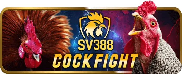 Hướng dẫn đăng ký tài khoản 97win đơn giản và nhanh chóng